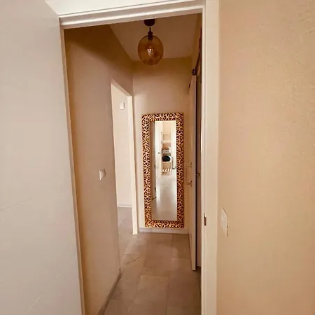 Amarilla * 코르도바